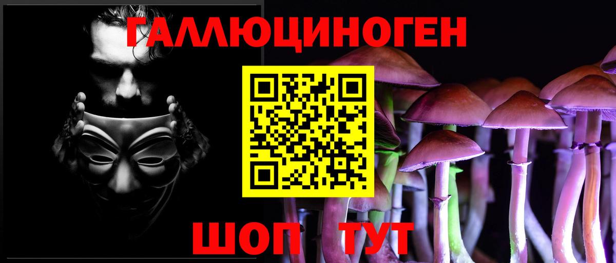 Торжок  Псилоцибиновые грибы мицелий  Вход с VPN 